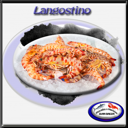 Langostino