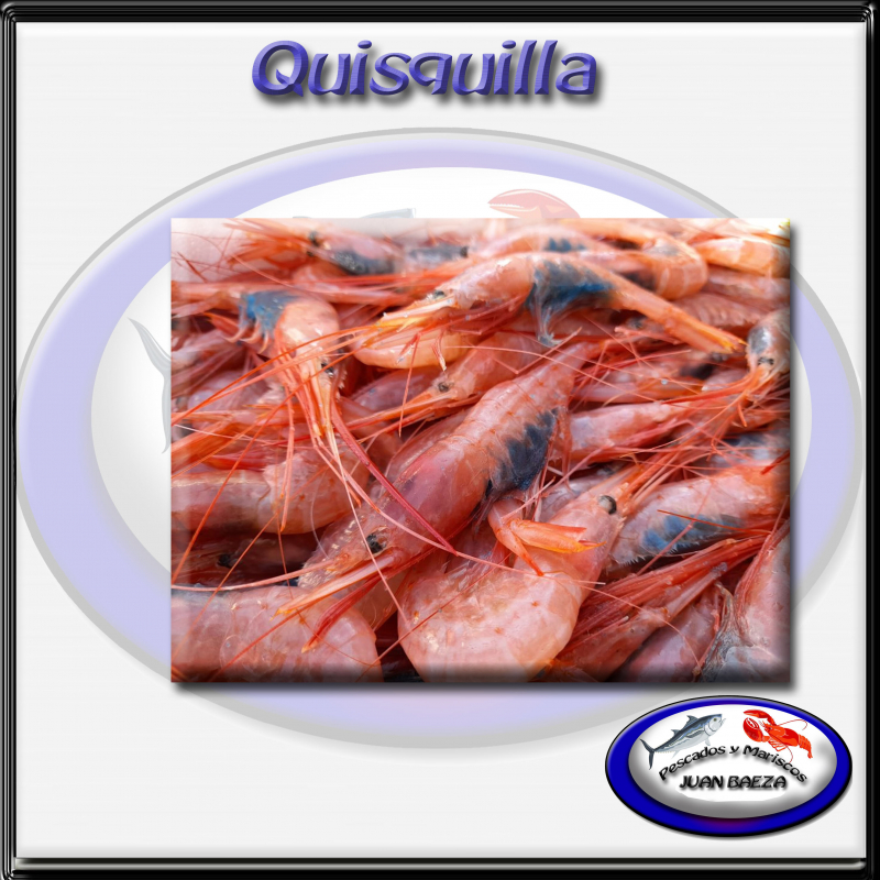 Quisquilla