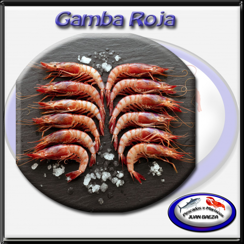 Gamba roja 