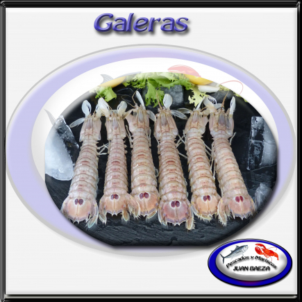 Galeras plancha