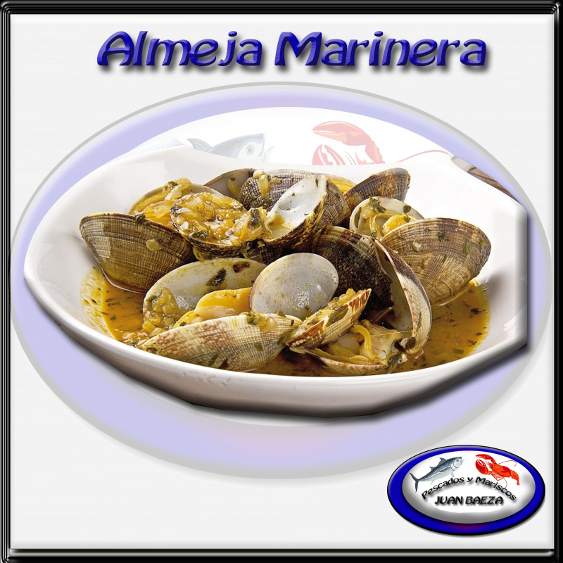 Almeja marinera