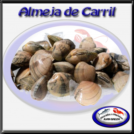 Almeja de carril