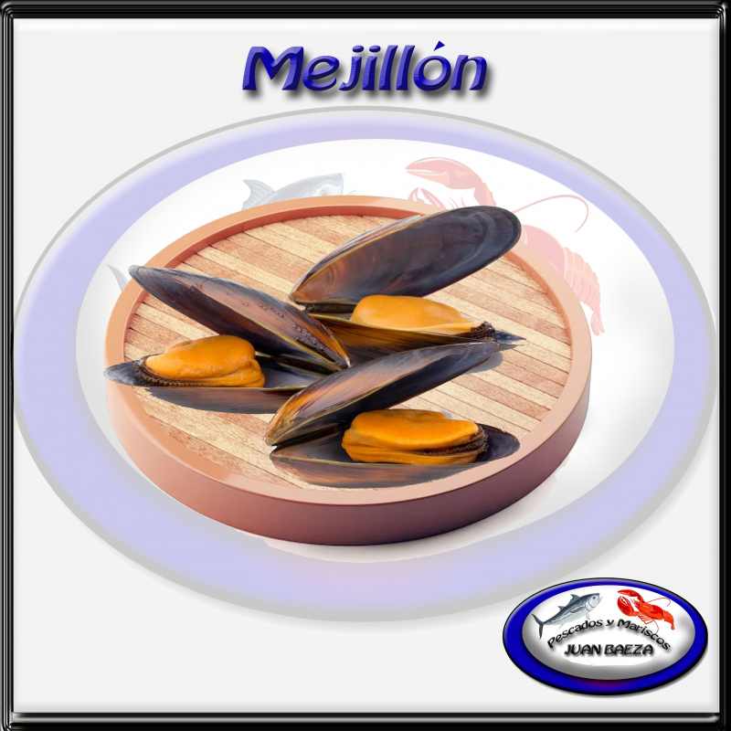 Mejillon 