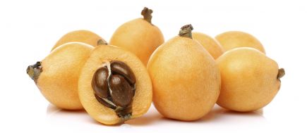 Nisperos de Algar Callosa de Sarriá