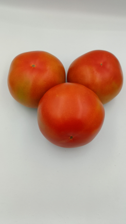 tomate verde ensalada