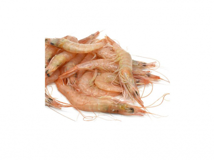 GAMBA BLANCA (CRUDA)(precio orientativo)