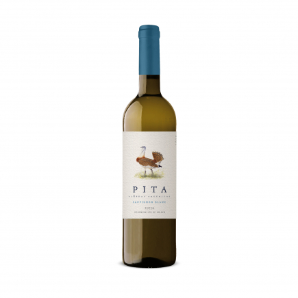 PITA VERDEJO CABERNET SAUVIGNON ECO