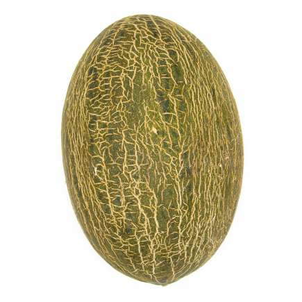 Melón de Temporada