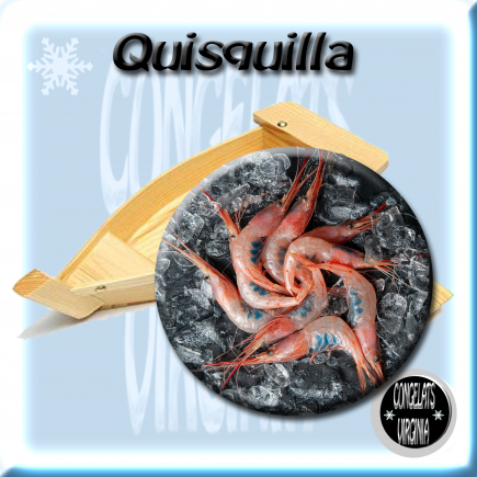 QUISQUILLA COCCIDA