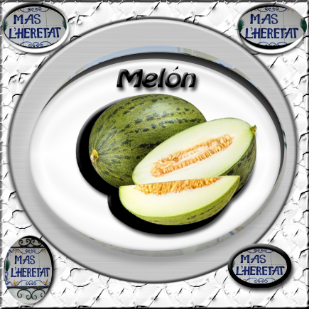 MELÓN