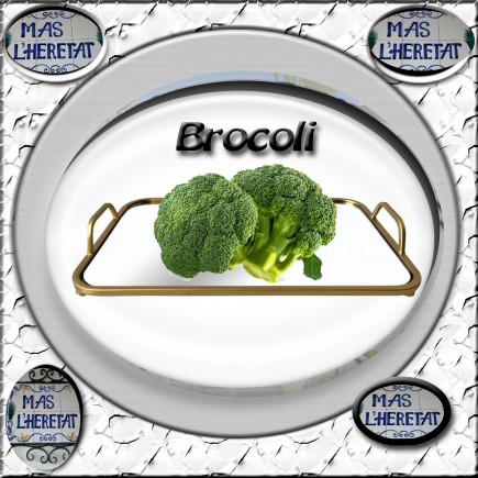 BROCOLI