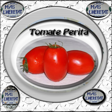 TOMATE PERITA