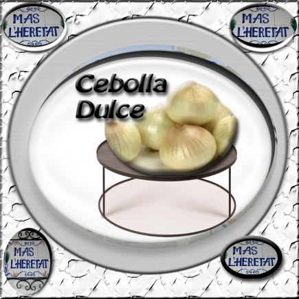 CENOLLA DULCE