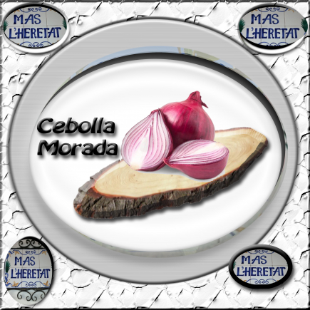 CEBOLLA MORADA