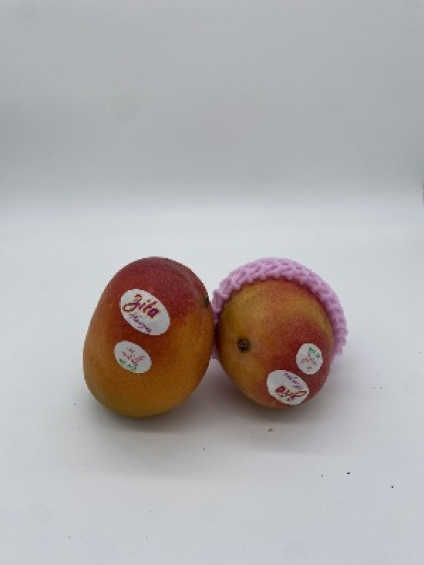 Mango de avion Brasil