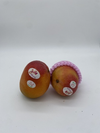 Mango de avion Brasil