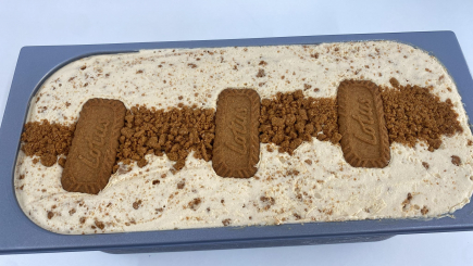 Helado de Lotus artesano 500g