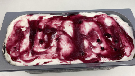 Helado de Yogurt con arándanos artesano 500g