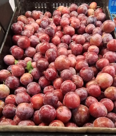 CIRUELA de fresa