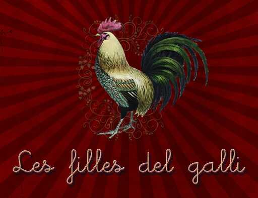 Aves y huevos Les filles del Galli